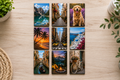 2 x 3" Rectangle Custom Photo Magnets - Set of 9